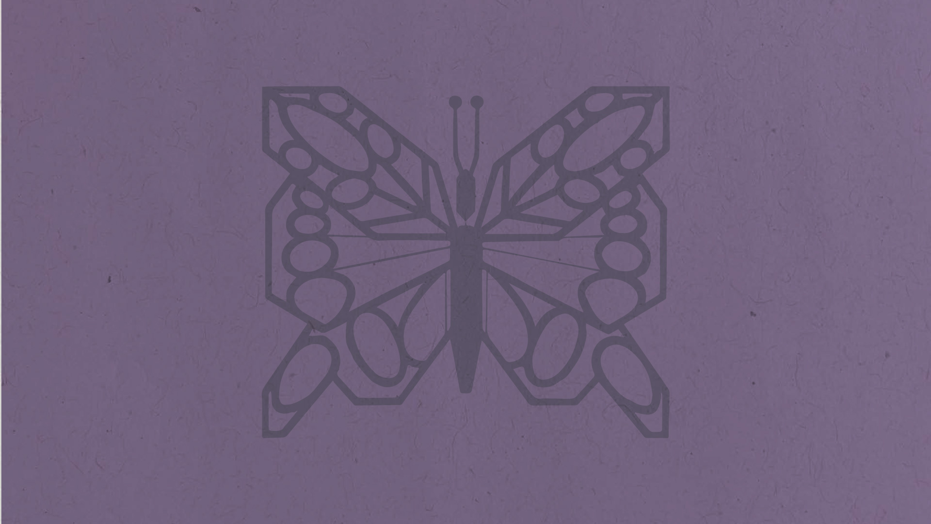 Image of Butterfly with purple background