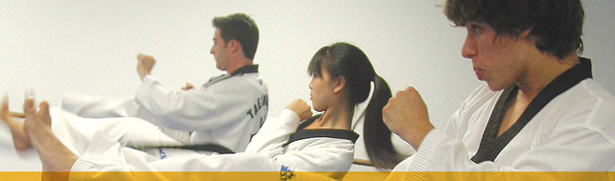 TKD Kick header TKD Kick header