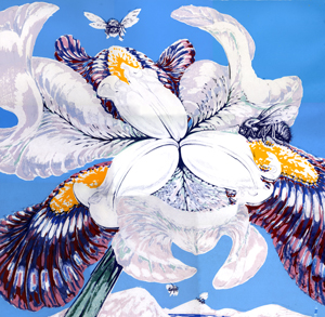 iris iris