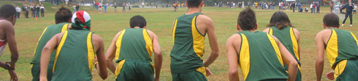 Cross Country Banner