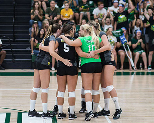 Volleyball team huddling