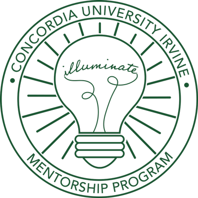 Illuminating Mentorship Program