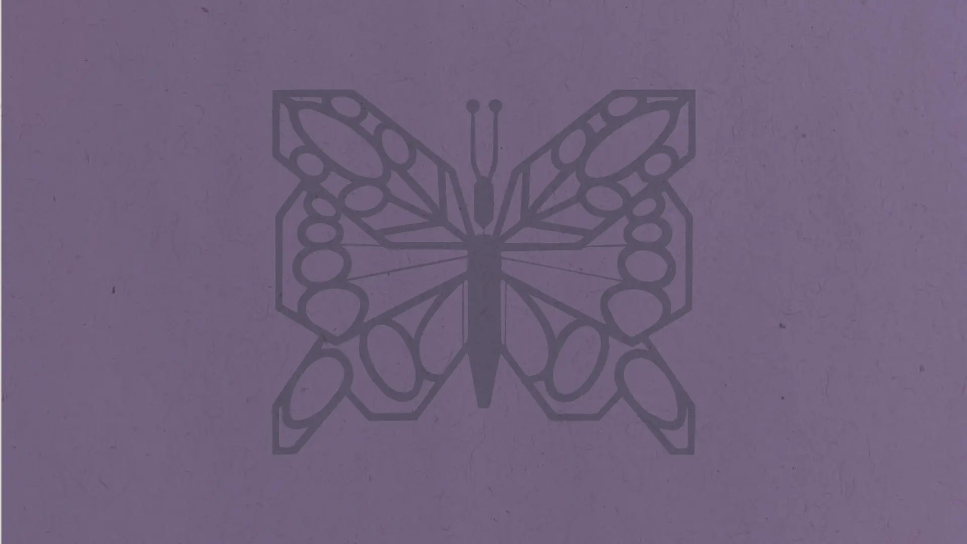 Image of Butterfly with purple background