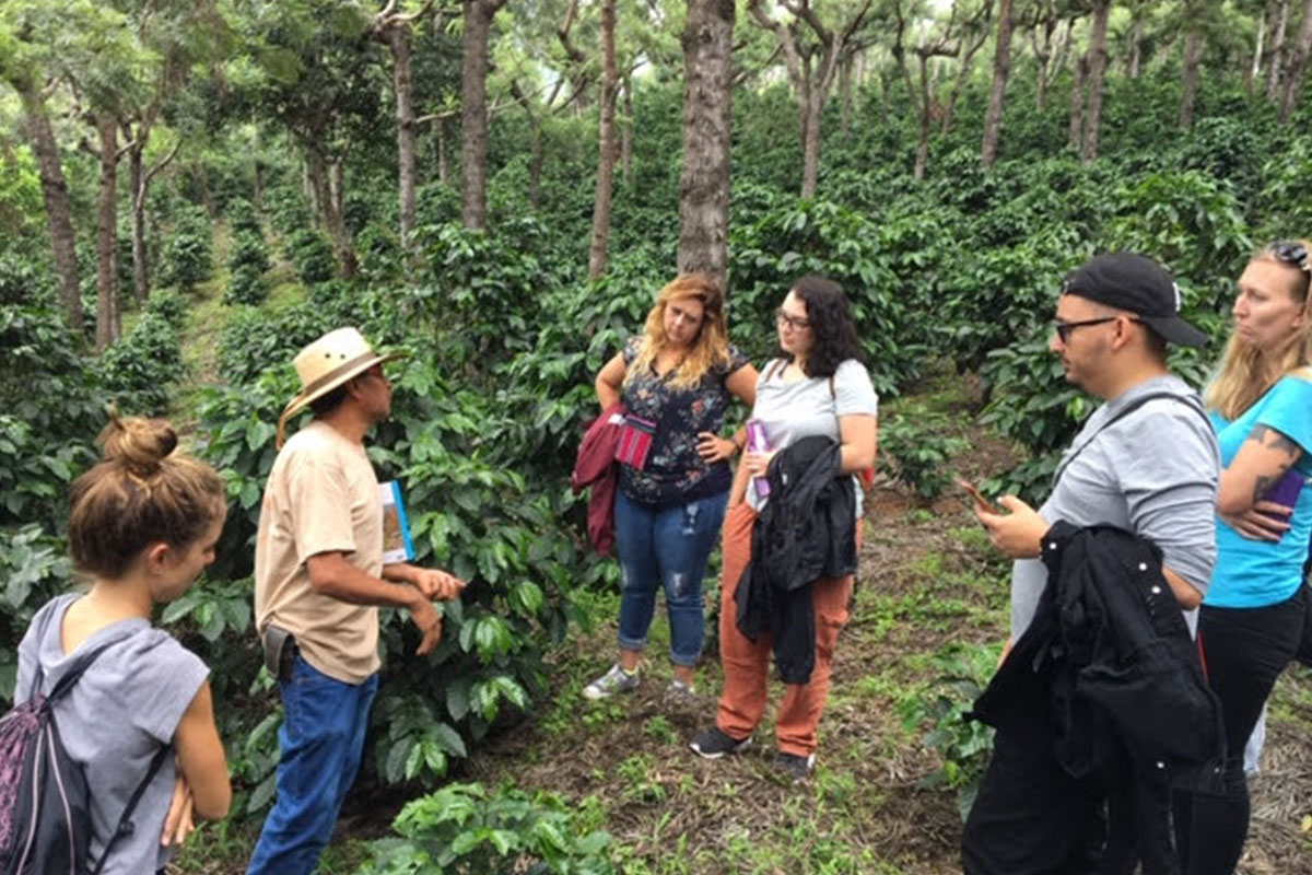 Coffee Farm Talk with Felix the Farmer