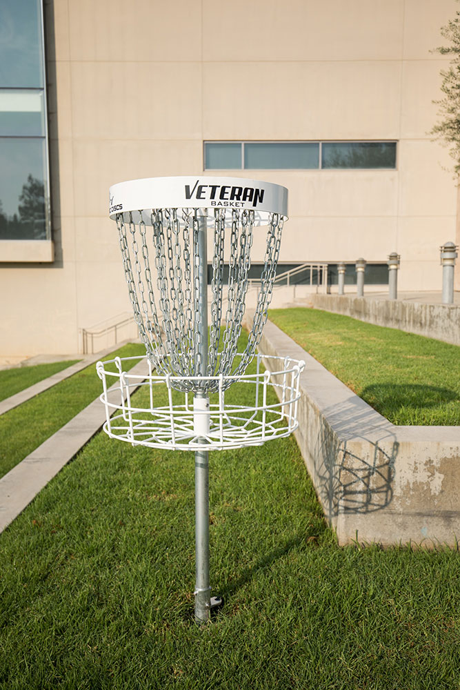 Close-up of disc golf basket