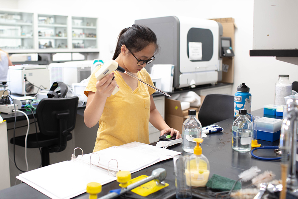 A student conducting a lab