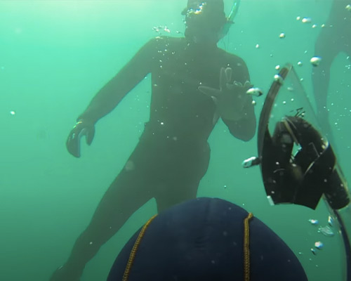 Students snorkeling