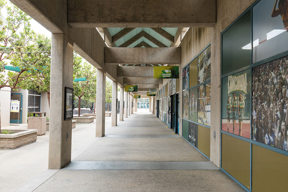 The Breezeway between the CU Arena and Hallerberg Center is lined with Eagle Athletics banners and images of our athletes. 