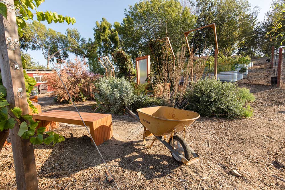 The Heritage Garden at Concordia enjoys a wide-open space on the hillside.