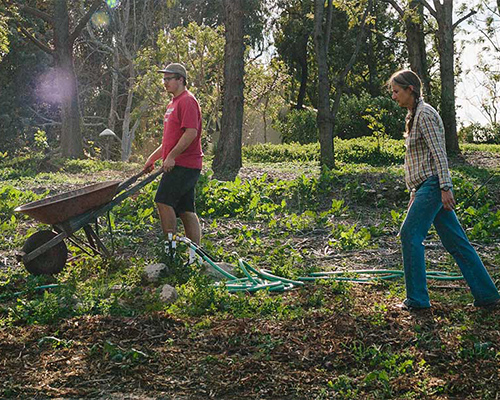 Interest Blooms in the Heritage Garden