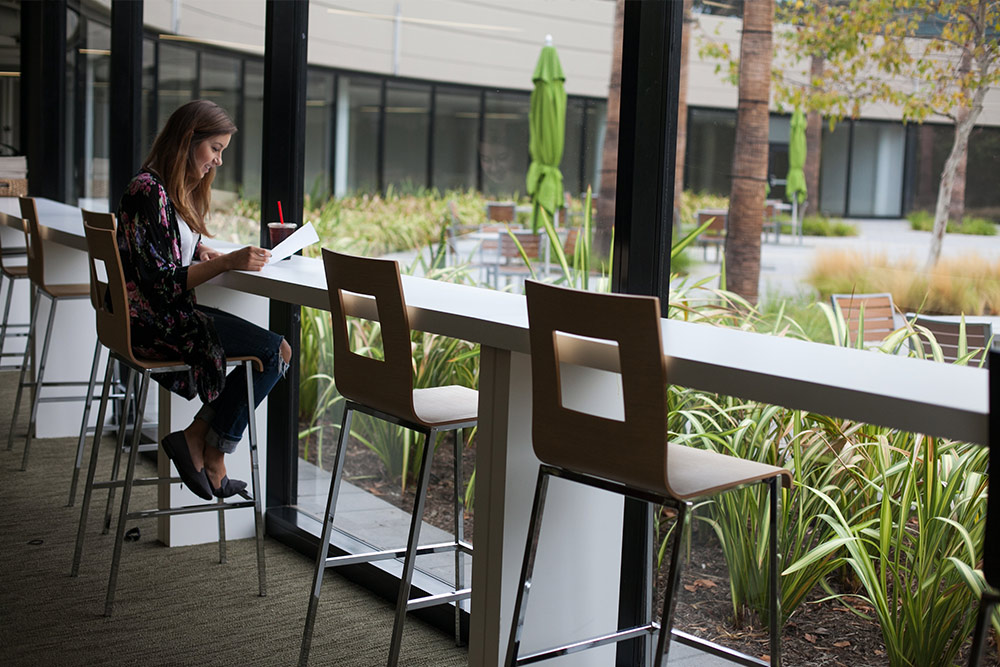 Calming views and natural light to study by at Park Place