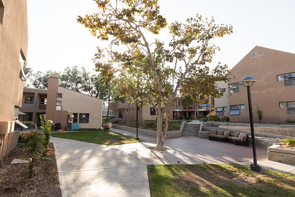 Courtyard seating shaded by a big oak tree