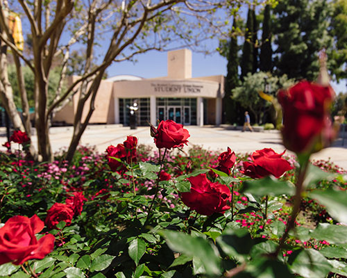 Flowers outside of the Student Union