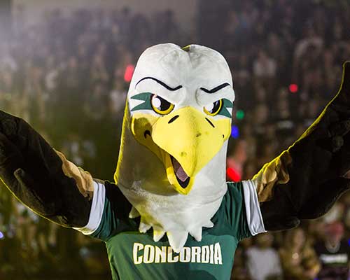 Eagles mascot