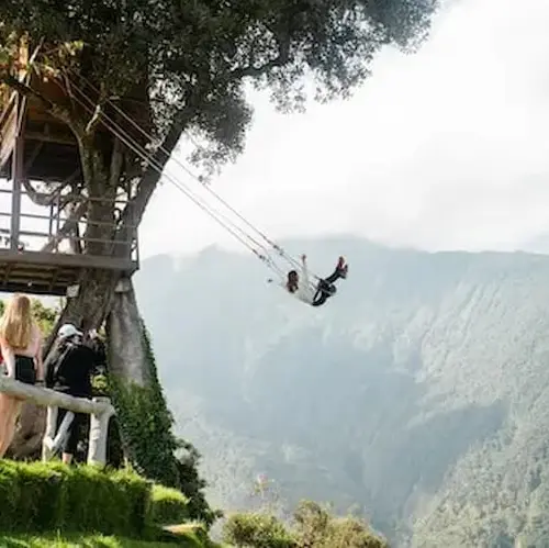A girl swings on a rope in front of a tree, capturing a moment from the Concordia University Irvine trip in Quito.