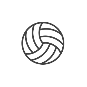Volleyball Icon