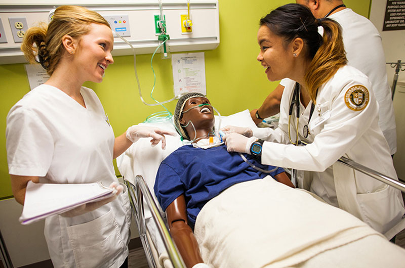 Nursing students studying with a manikin patient