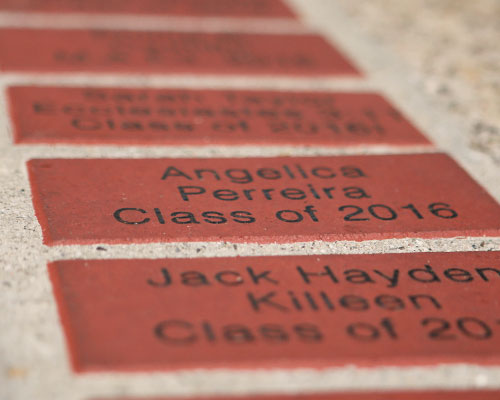 Alumni Bricks