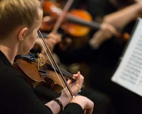 Image of a musician with an instrument.