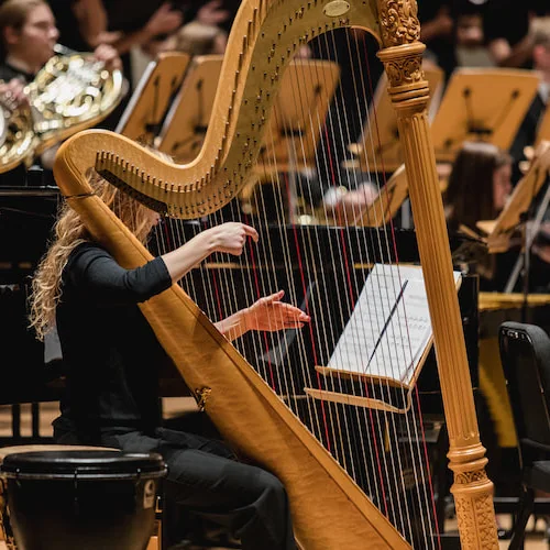 Image of a musician with an instrument.