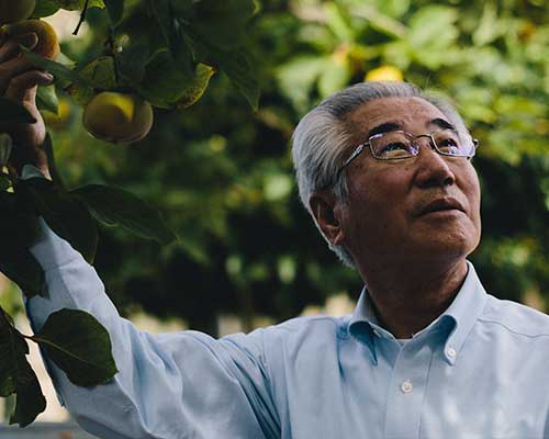 Rev. Dr. Shang Ik Moon looking through a photo book