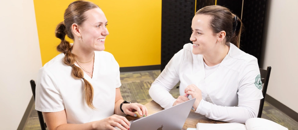 How to Pay for Nursing School: Potential Funding Sources