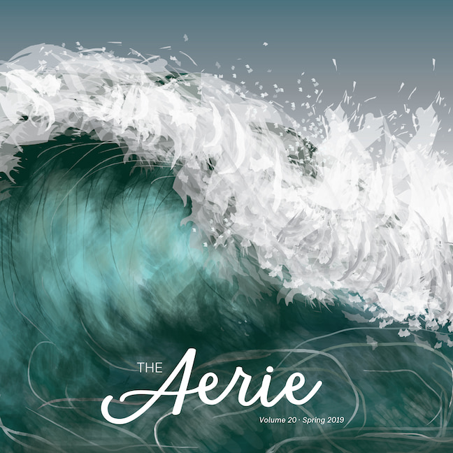 The Aerie 2019 Cover