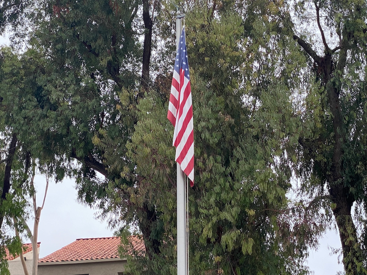 NWT quicklyand FLAGPOLE NYC Joellen