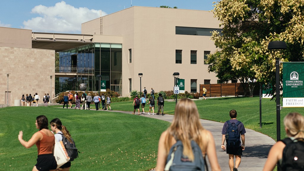 A group of people walking in a grassy area