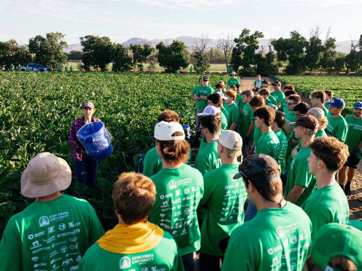 A group of people in green shirts