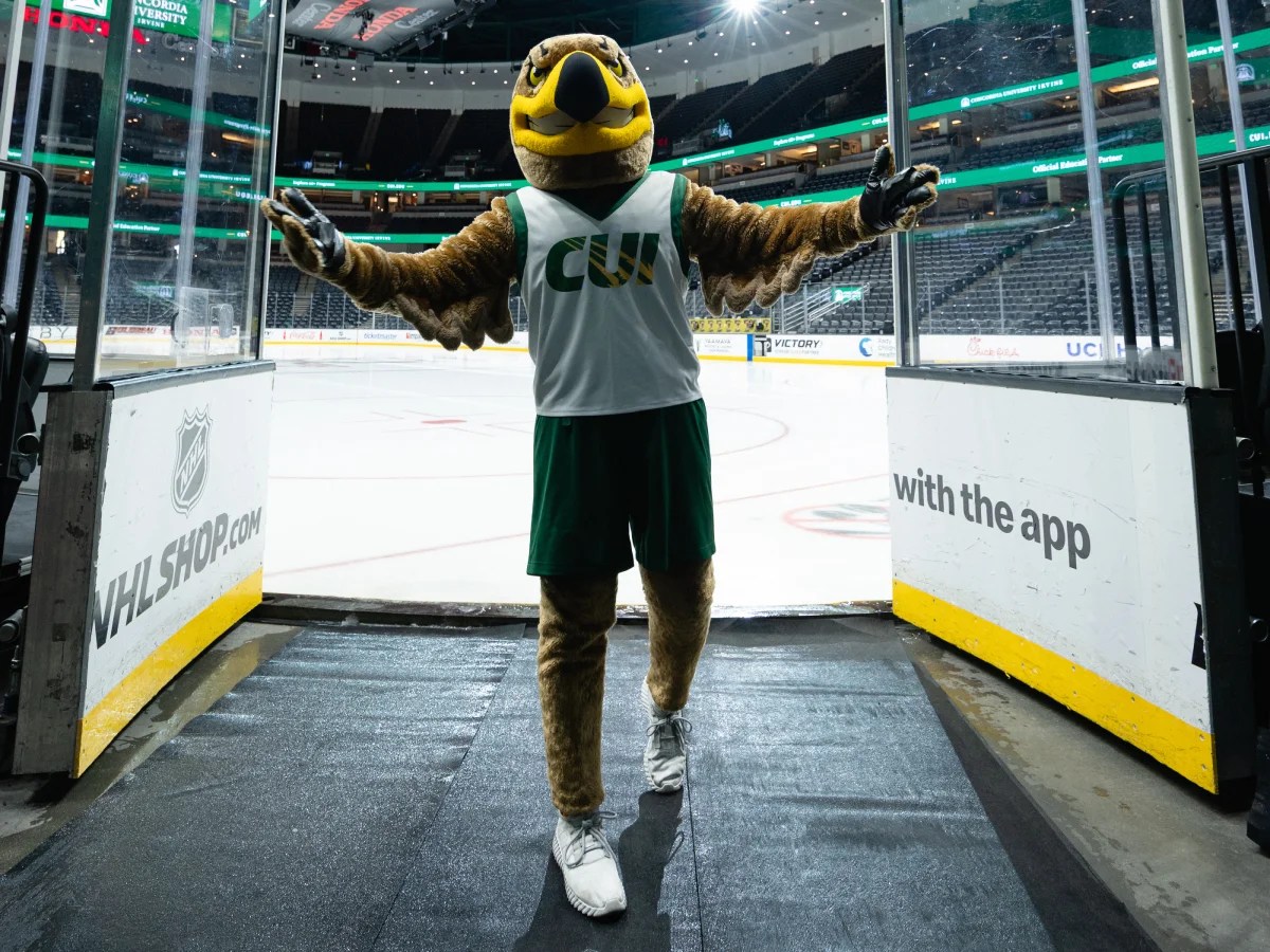 A person in a mascot garment