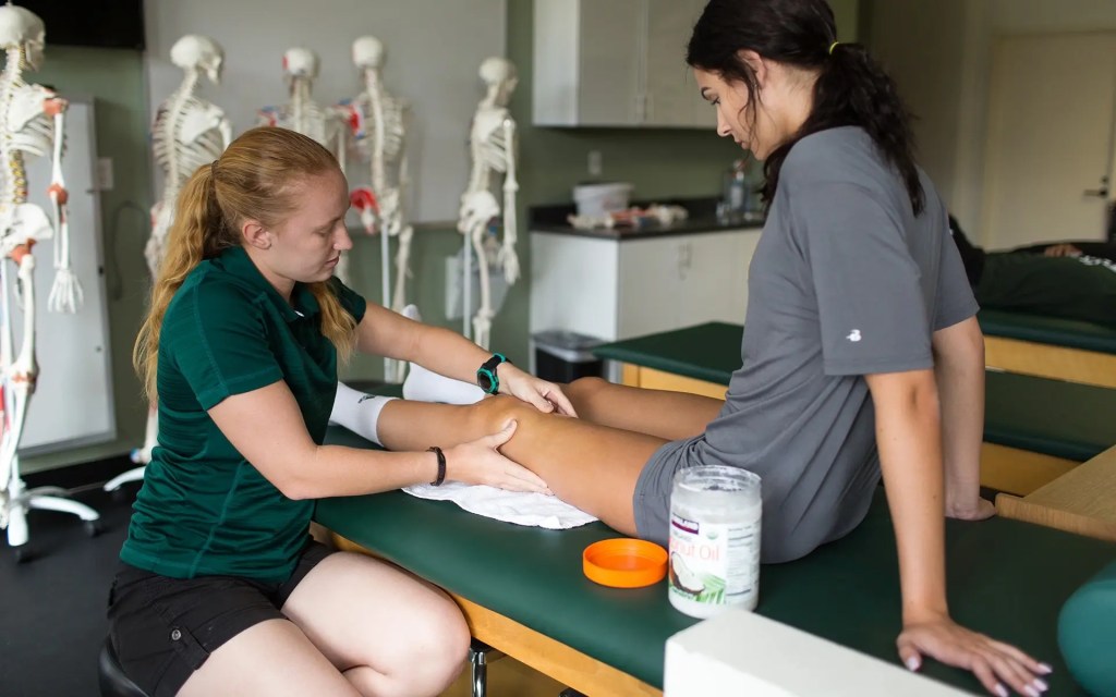 A woman massaging a leg