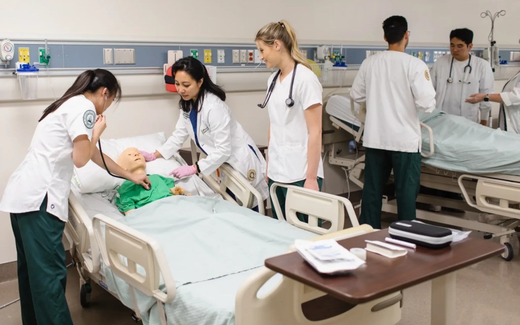 Freshman Advantage Nursing Pathway