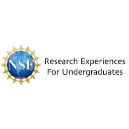 NSFREU logo