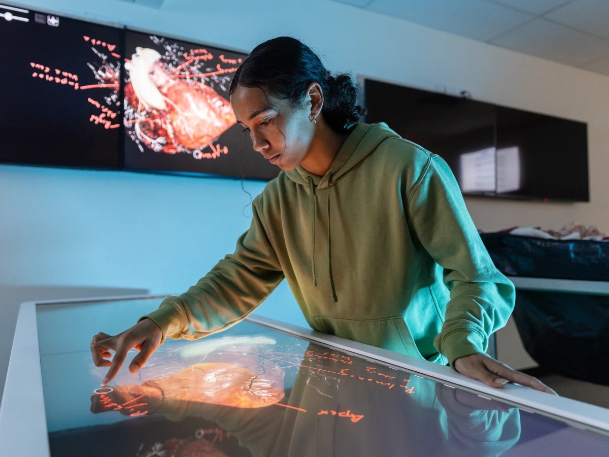 A person interacting with a digital anatomy table displaying a 3D model of a heart