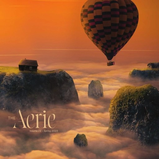 A hot air balloon over clouds