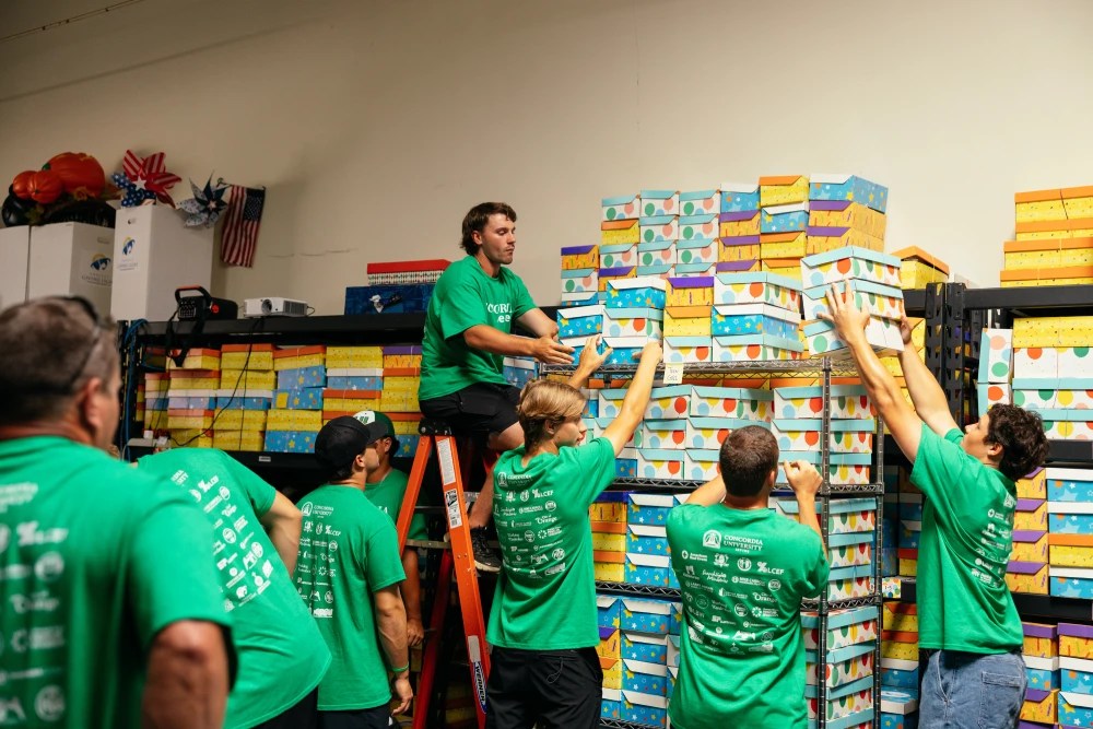 A group of people on a ladder with boxes