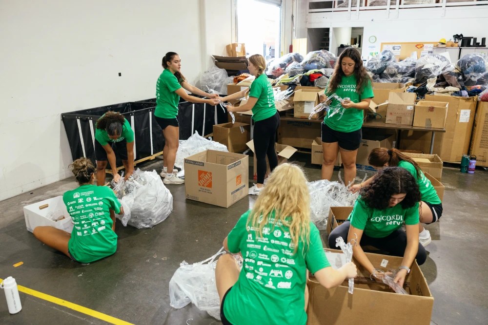 A group of people in green t-shirts packing plastic