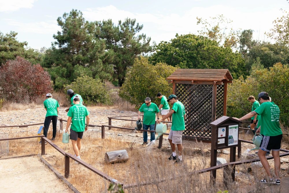 A group of people in green t-shirts