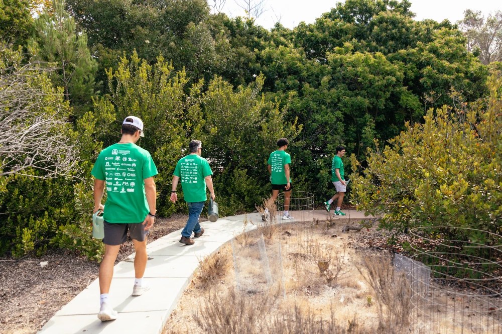 A group of people walking on a path