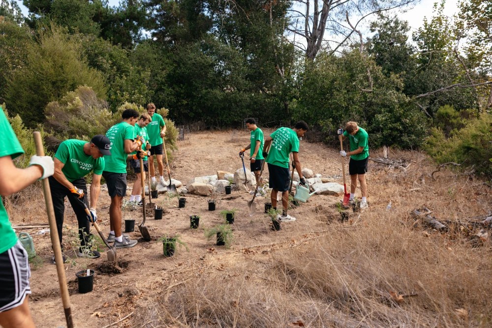 A group of people planting trees