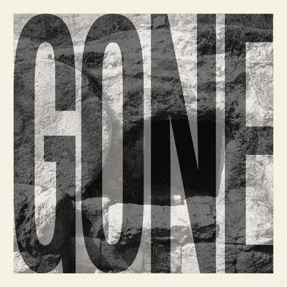 Gone Cover