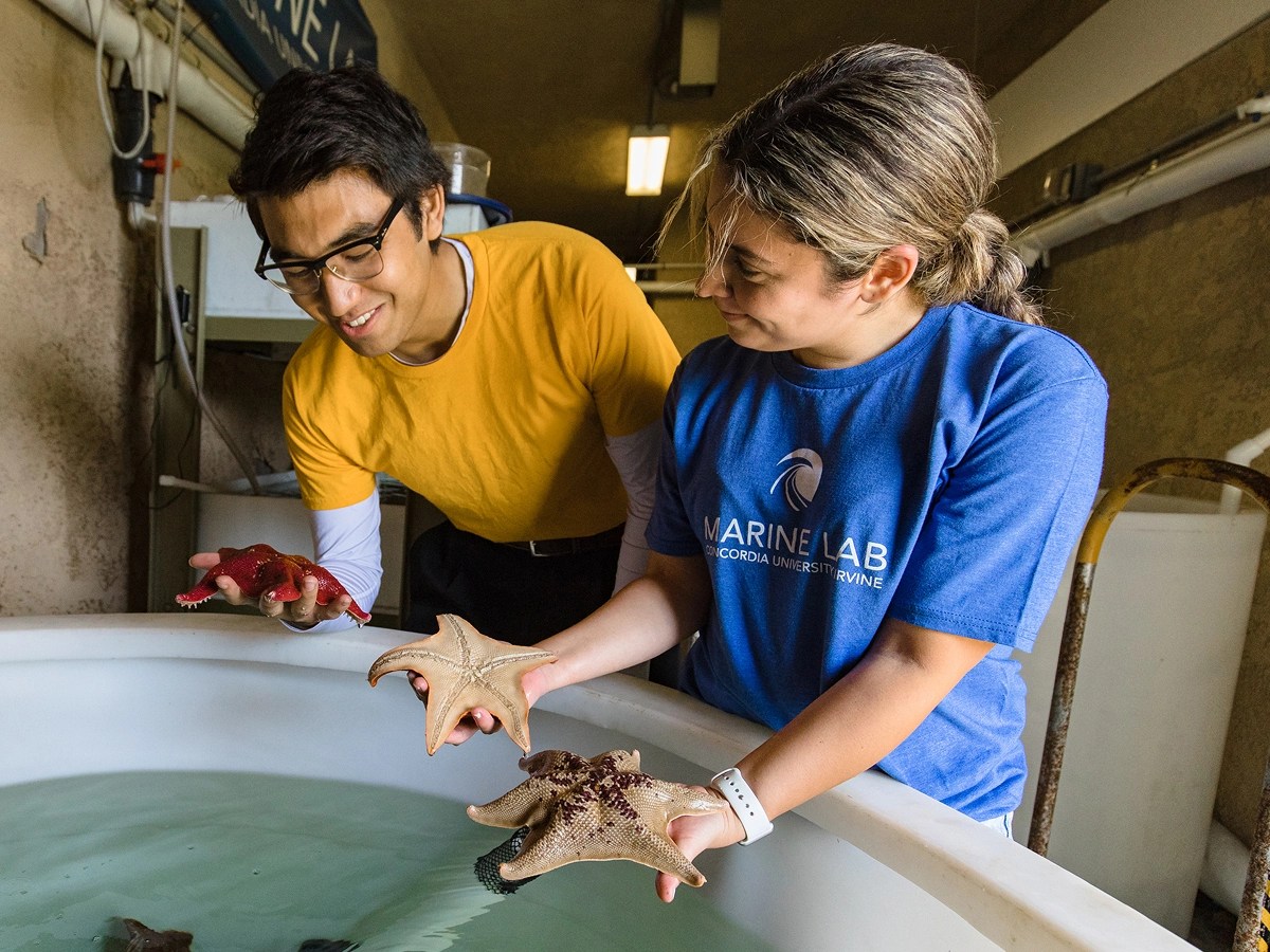 A man and woman holding starfish in a tub