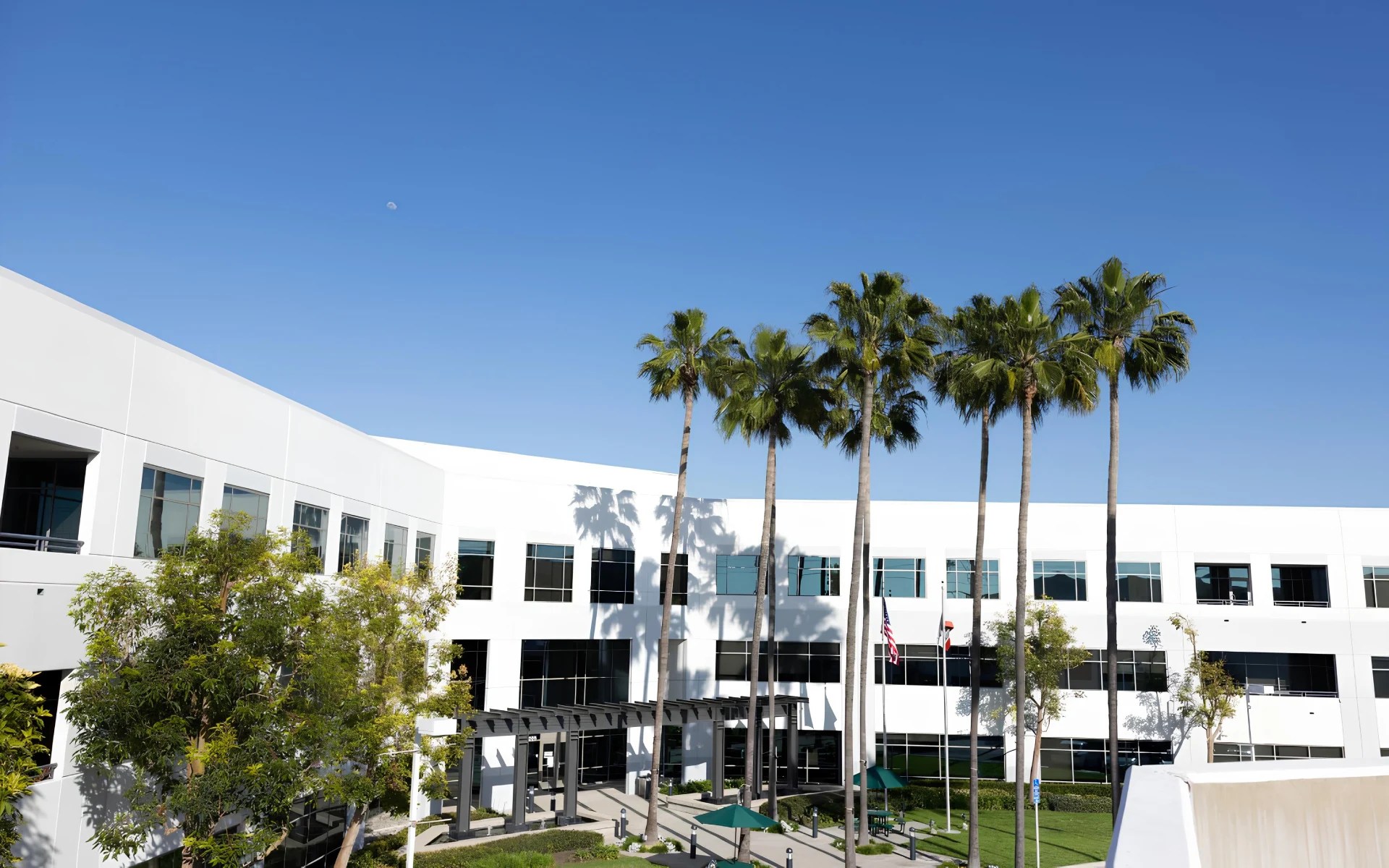 A building with palm trees