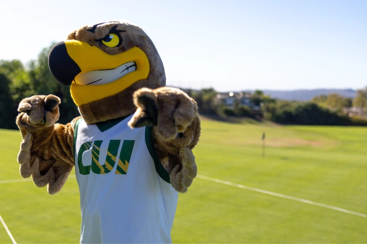 A person wearing a mascot garment