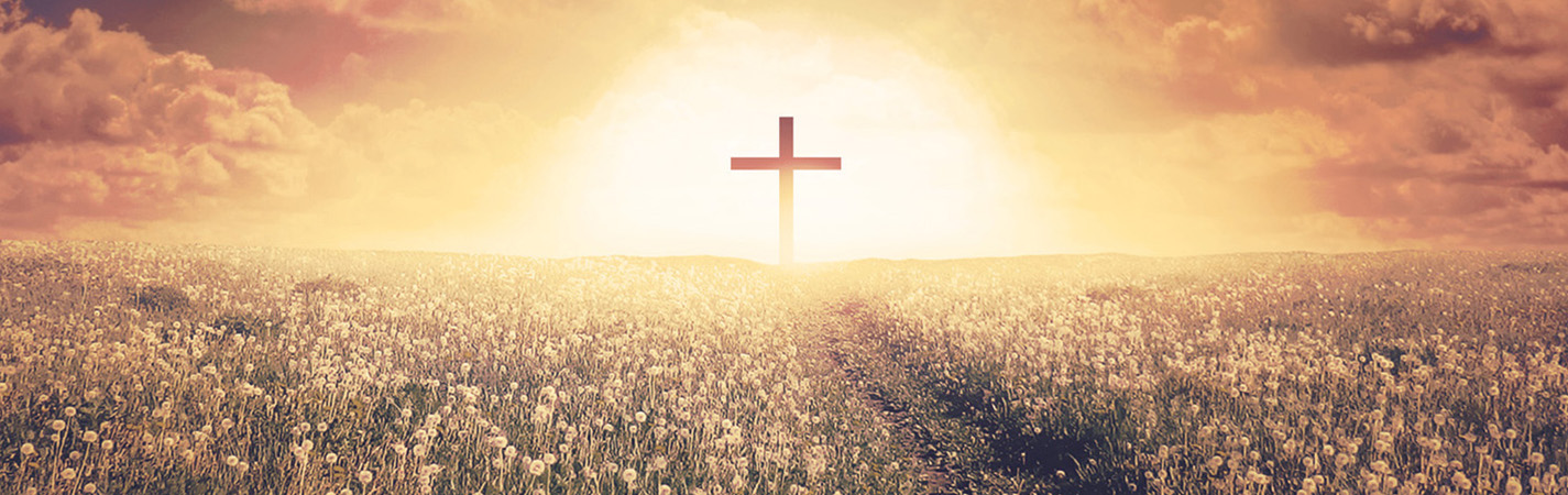 A cross in a field of flowers
