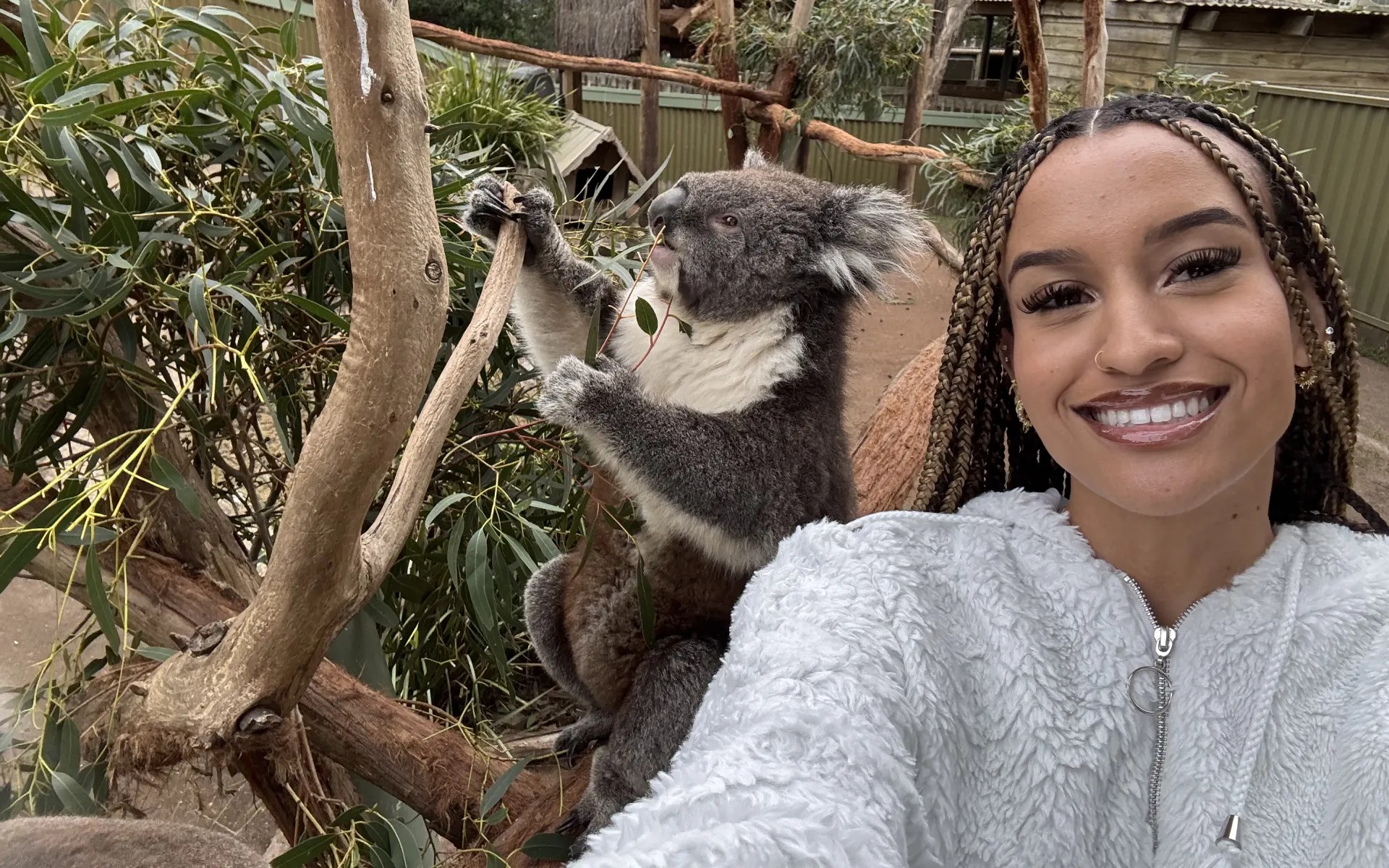 A woman taking a selfie with a koala bear