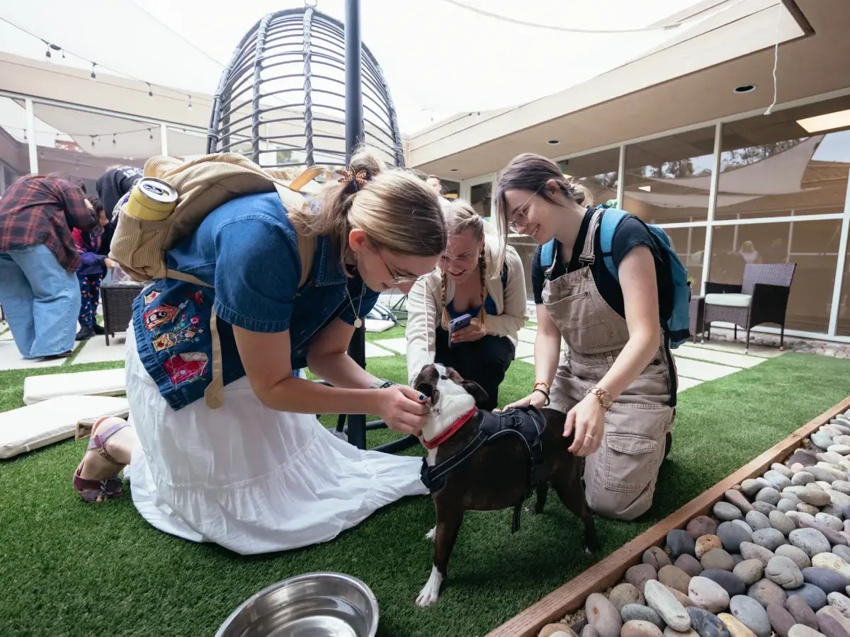 A group of women petting a dog